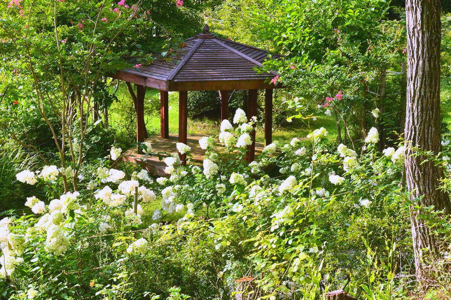 담양군 [여름 꽃 축제] 담양 민간정원 죽화경, 제3회 유럽 수국 축제 개최! 🌼
