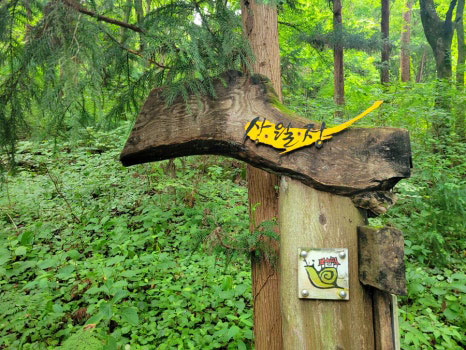 담양군 여름 소리가 가득한 상월정으로 트레킹 어때요? 🌳