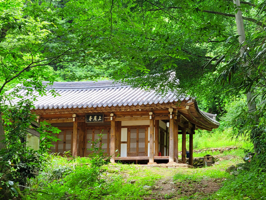 담양군 여름 소리가 가득한 상월정으로 트레킹 어때요? 🌳