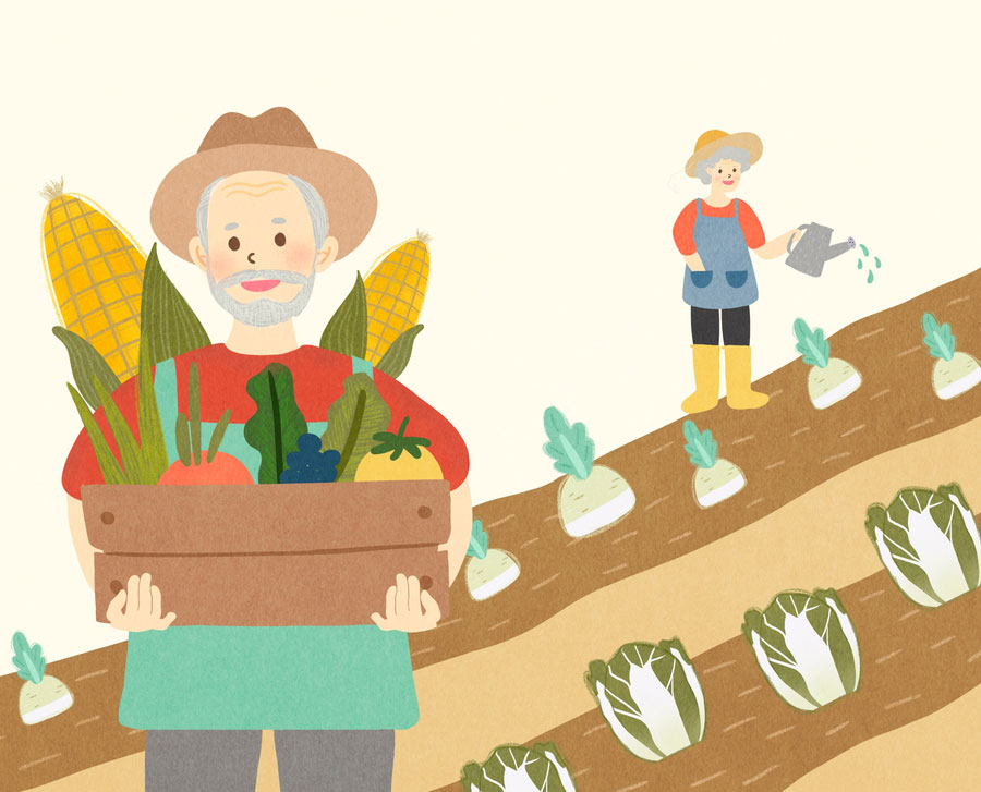 담양군 고령 농업인을 위한 농지이양은퇴직불사업 신청하세요!