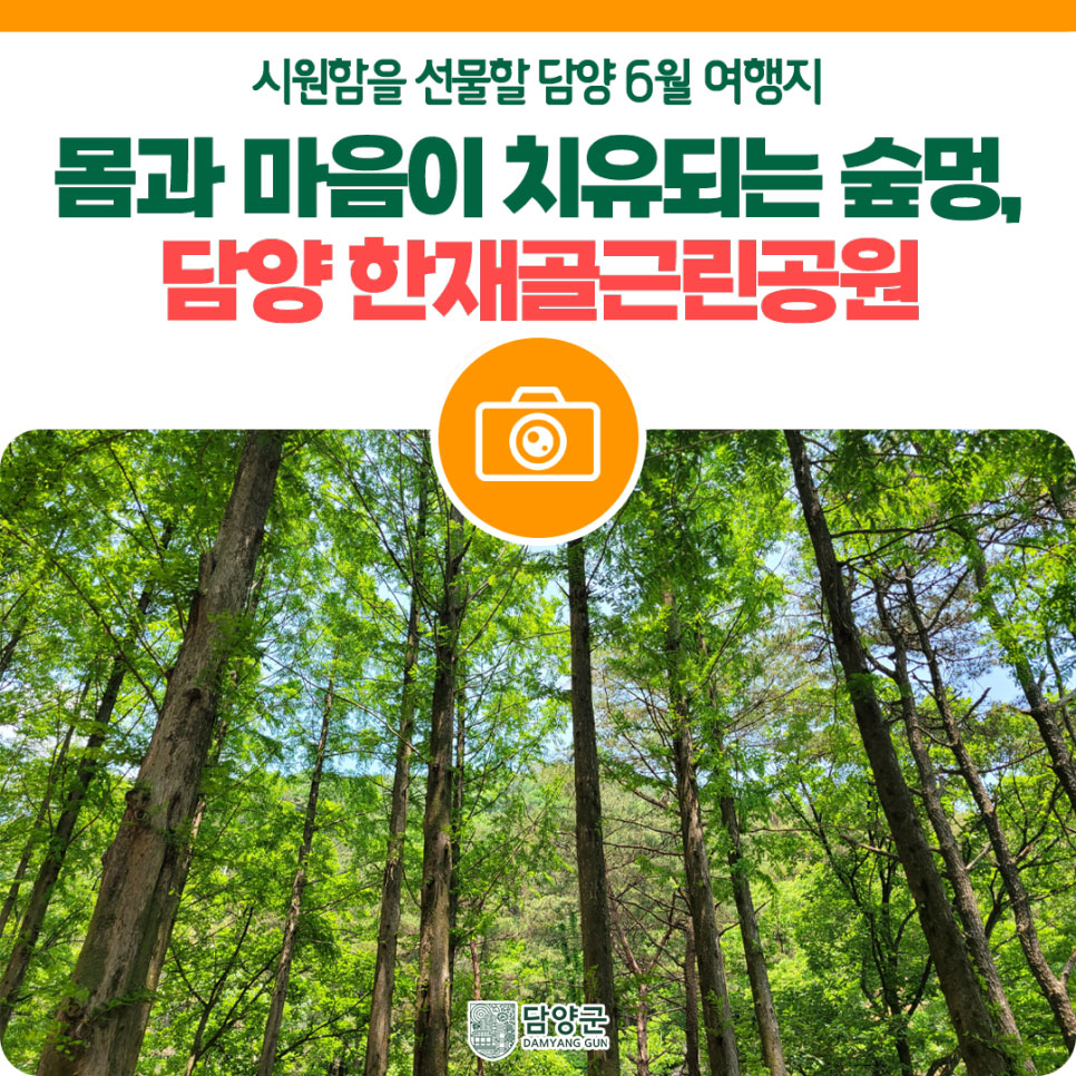 [담양군] 담양 한재골근린공원에서 몸과 마을이 치유되는 숲멍 어때요?