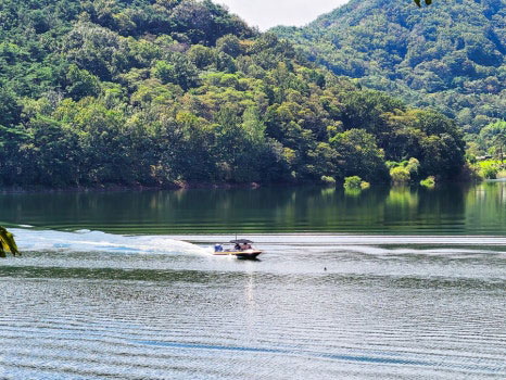 [담양군] 갓벽한 자연! 담양호 용마루길로 산책 나들이 가요~!